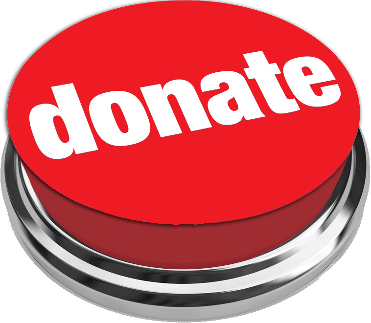 Donate Now button